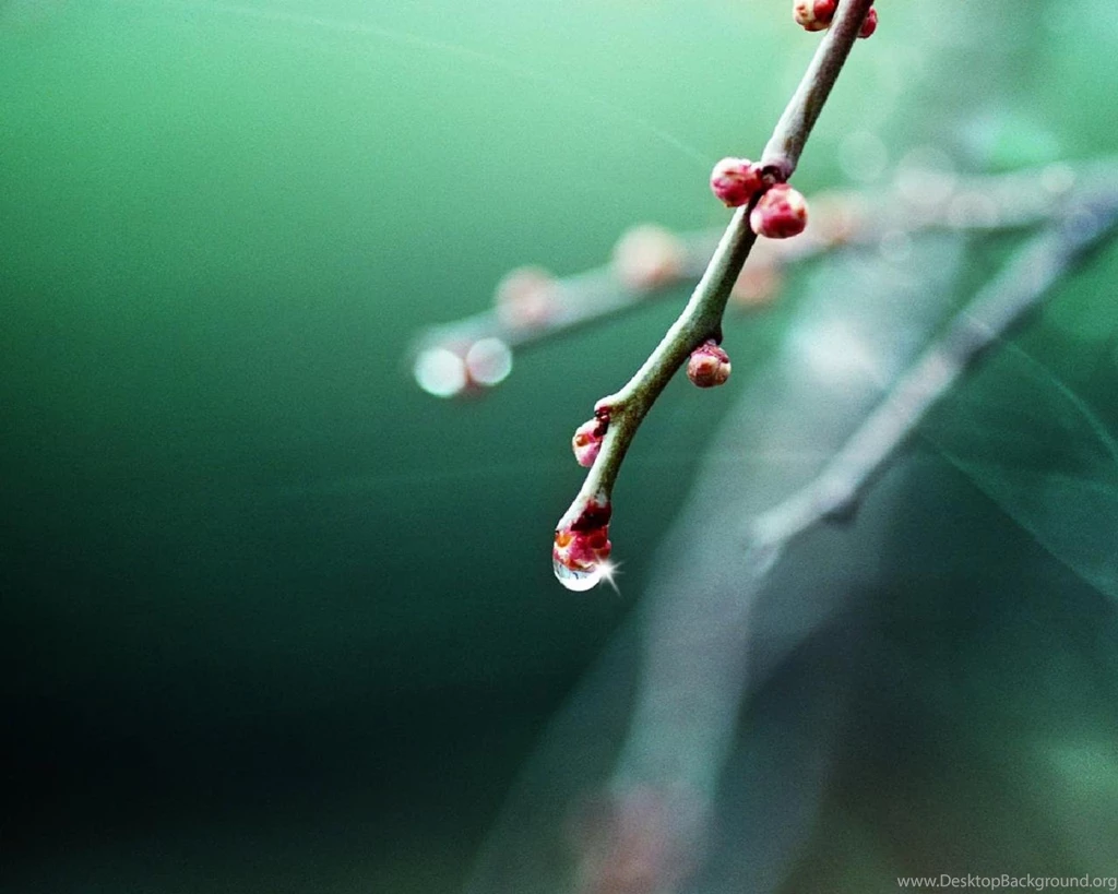 Spring Is Coming Hd Wallpapers 1280x1024 Laptop Wallpaper