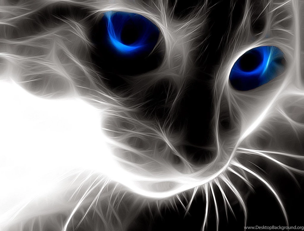 Really Cool Wallpapers BAK8