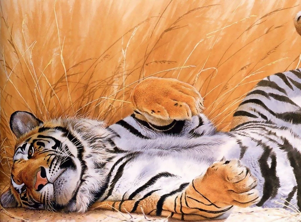 Tiger Computer Wallpapers, Desktop Backgrounds