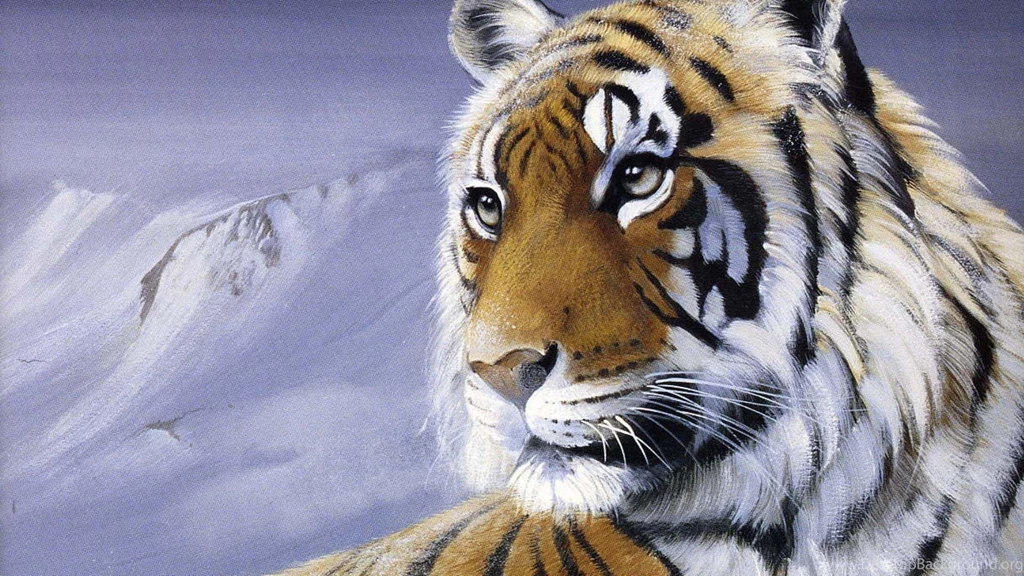 Black Tiger Wallpapers   Ndemok.com