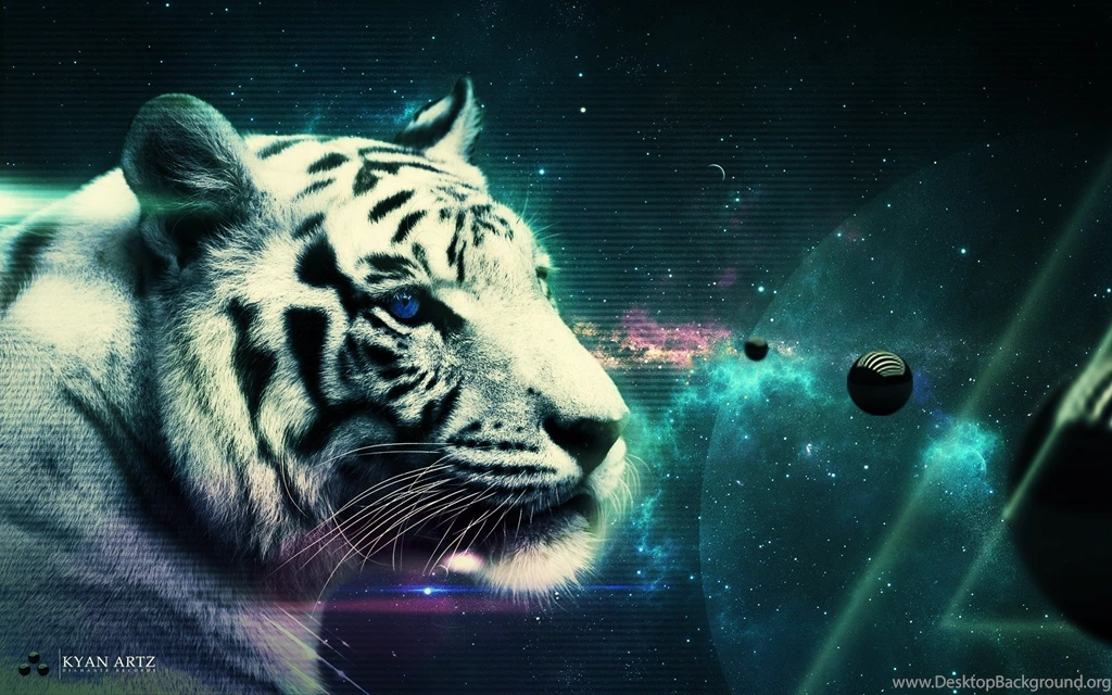 White Tiger Computer Wallpapers, Desktop Backgrounds