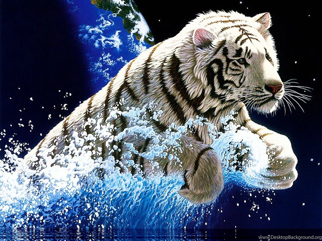 White Tiger Desktop HD Wallpapers Attachment 6706   Amazing Wallpaperz
