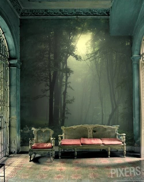 Charming Forest Themed Wall Murals   Pixersize.com