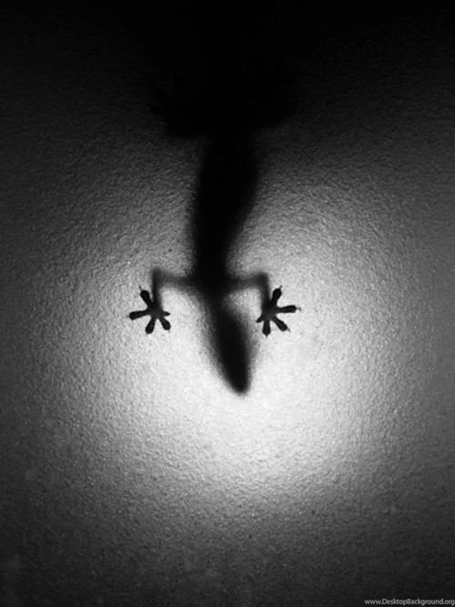 Beautiful Black And White Photography – Smashing Magazine