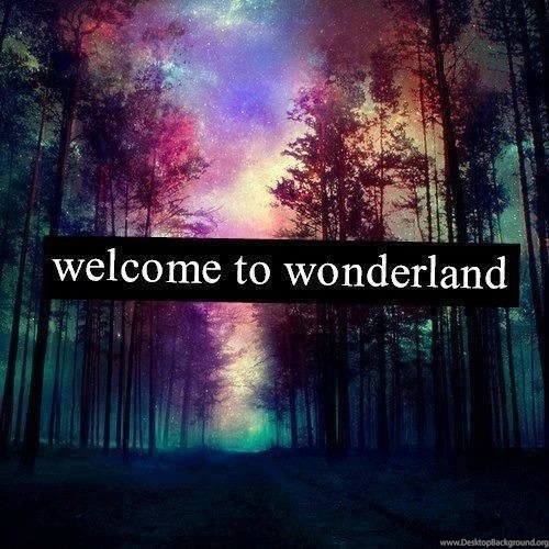Welcome To Wonderland