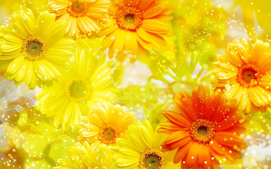 Yellow Flowers Images