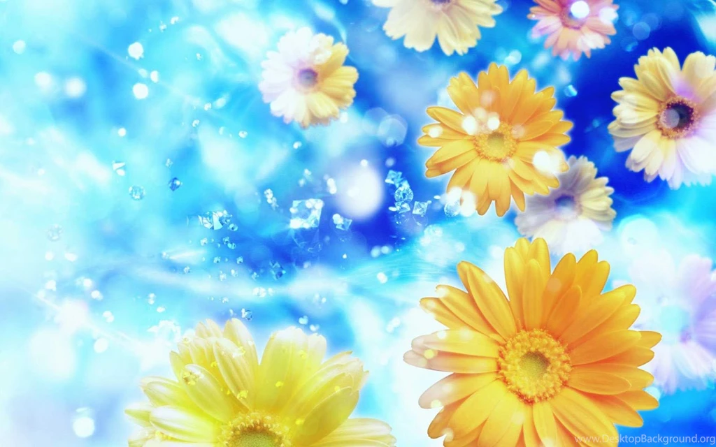 Yellow Flowers Wallpapers