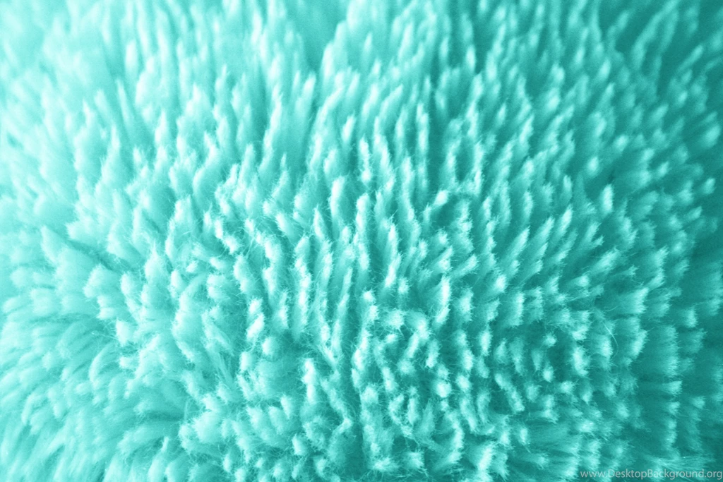 Teal Wallpapers HD High Quality