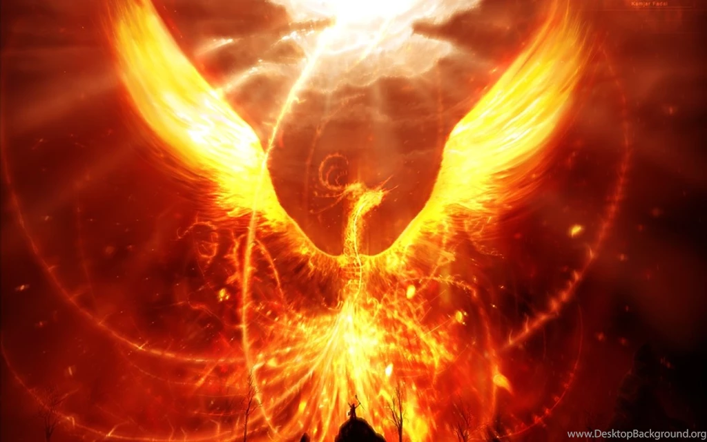 Fire Dragon Phoenix