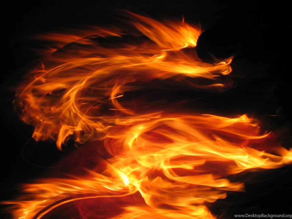Fire Dragon Backgrounds