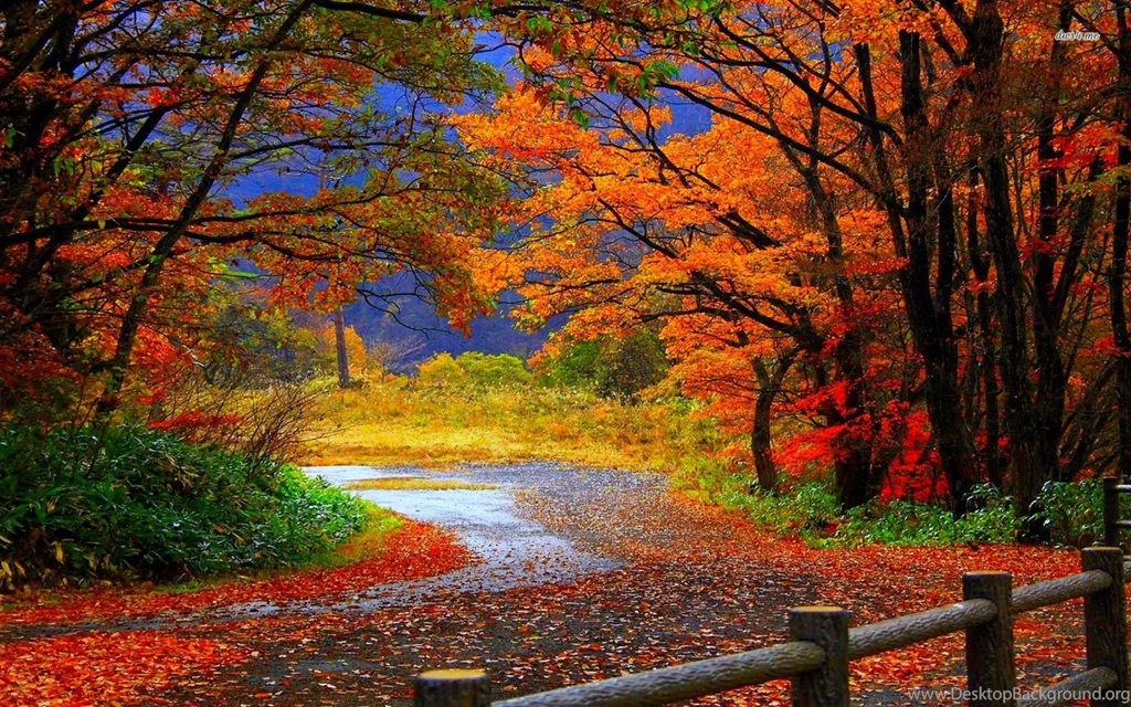 Autumn Nature Wallpapers Wallpaper.