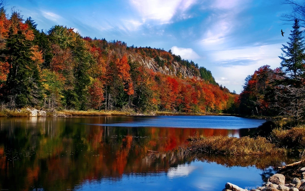 Autumn, Colors, Nature, Wallpapers (