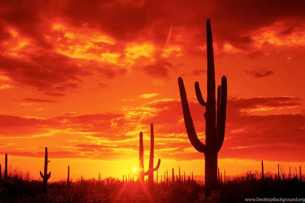 Sunset Wallpapers 53 Picture, Sunset Wallpapers 53 Photo, Sunset ...