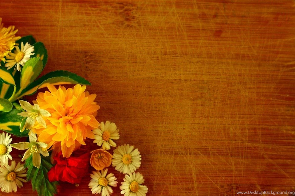 Free Stock Photo: Flower, Background, Yellow, Blossom Free Image ...