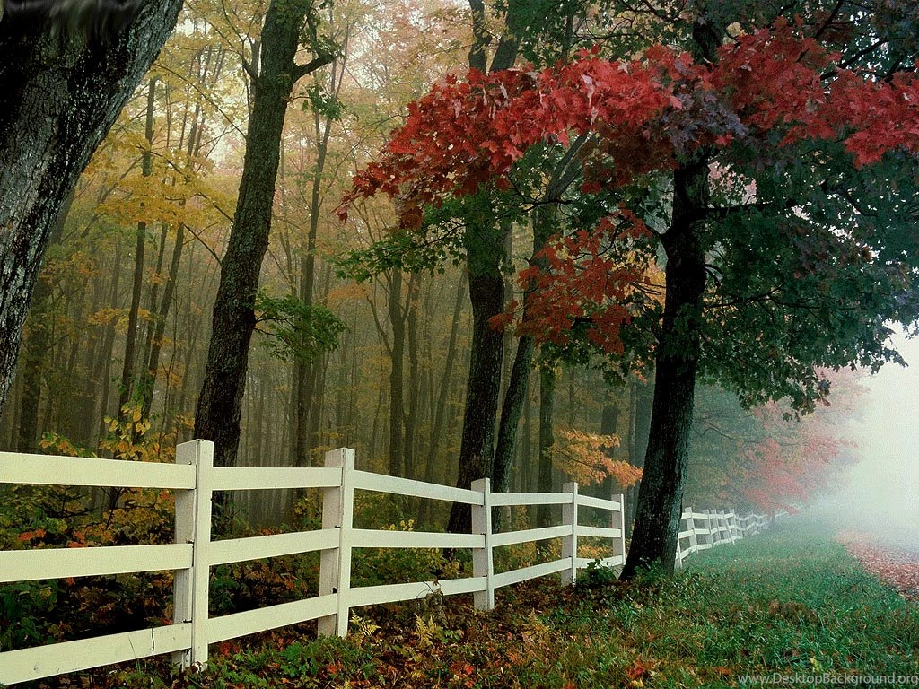 Autumn Wallpapers Desktop Nature Background Images