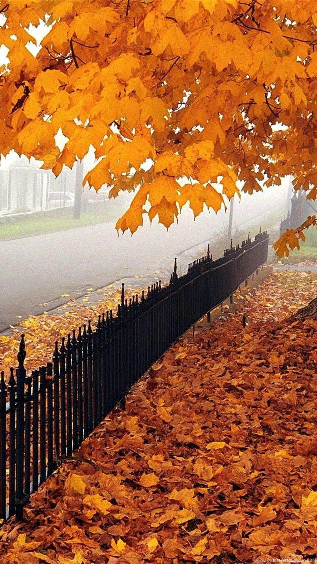 1080x1920 Beautiful Autumn Nature Wallpapers HD