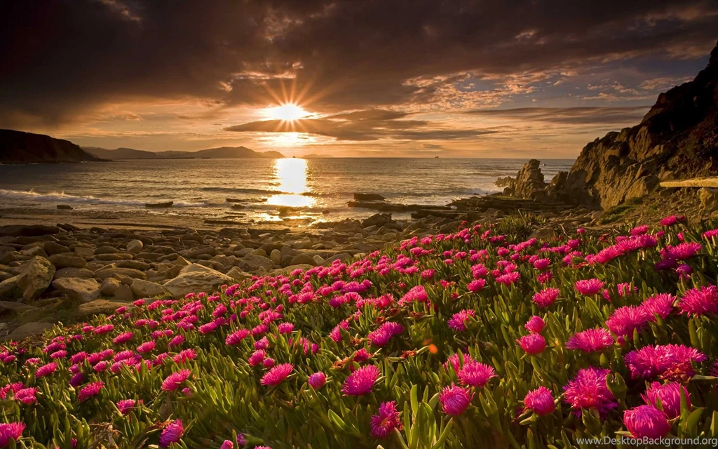 Top 10 Beautiful Sunset Wallpapers HD & Sunset Backgrounds