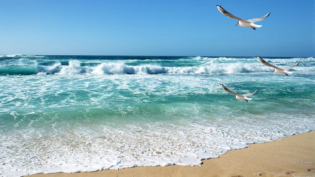 Calming Waves (