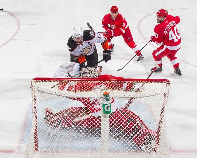 Red Wings Vs. Ducks 01/23/2016 Detroit Red Wings Photos