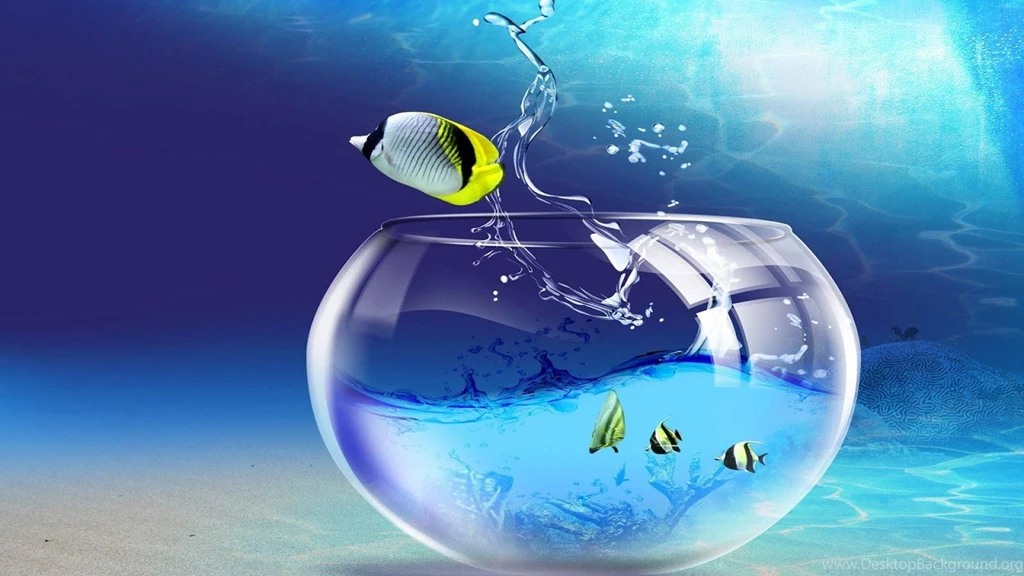 Live Wallpapers   Free Wallpapers For PC