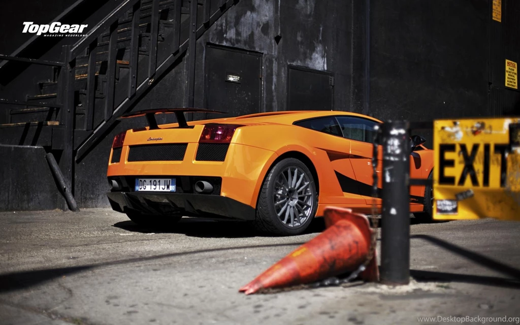 Louisville Cardinal Wallpapers 1612 HD Wallpapers