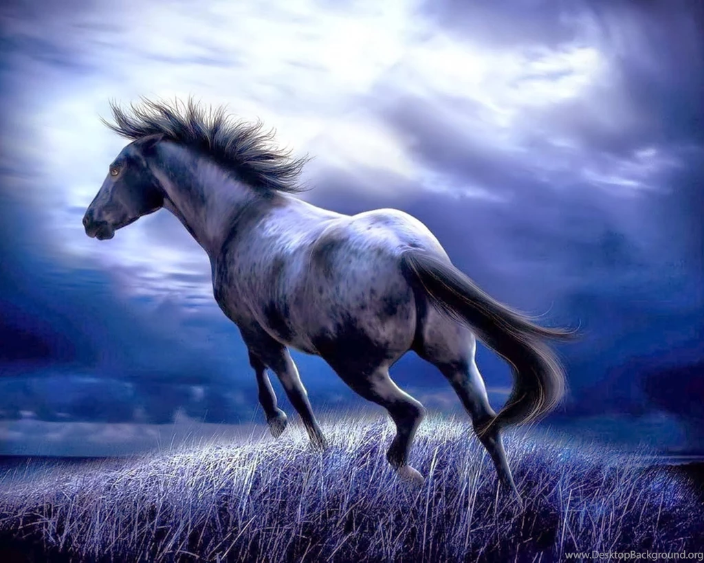 Free Download Wallpapers For Android Phone,desktop Wallpapers