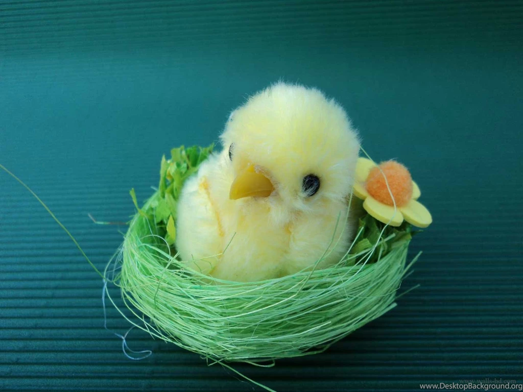 7 Cute Easter Chicks Desktop Wallpapers