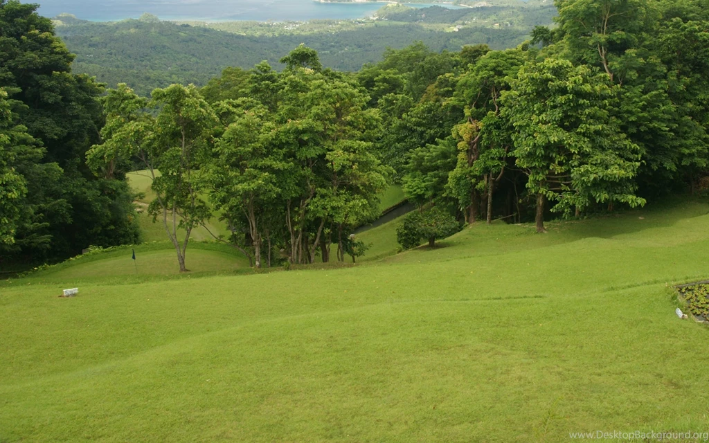 Golf Wallpapers