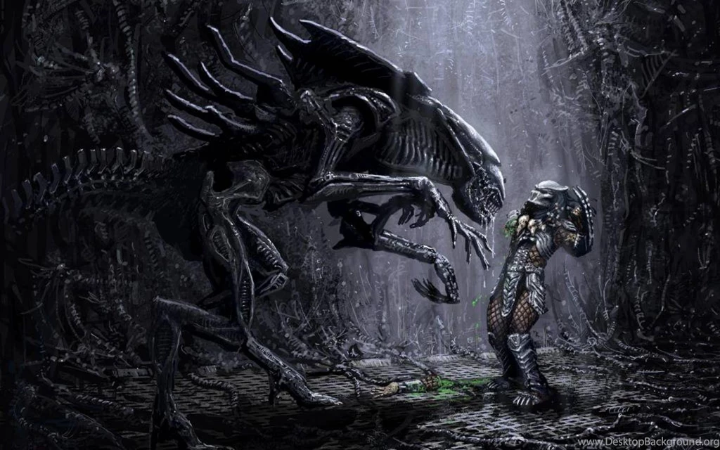 Alien Queen Vs Predator Alien Queen Vs Pred Hell Yeh Wallpapers ...
