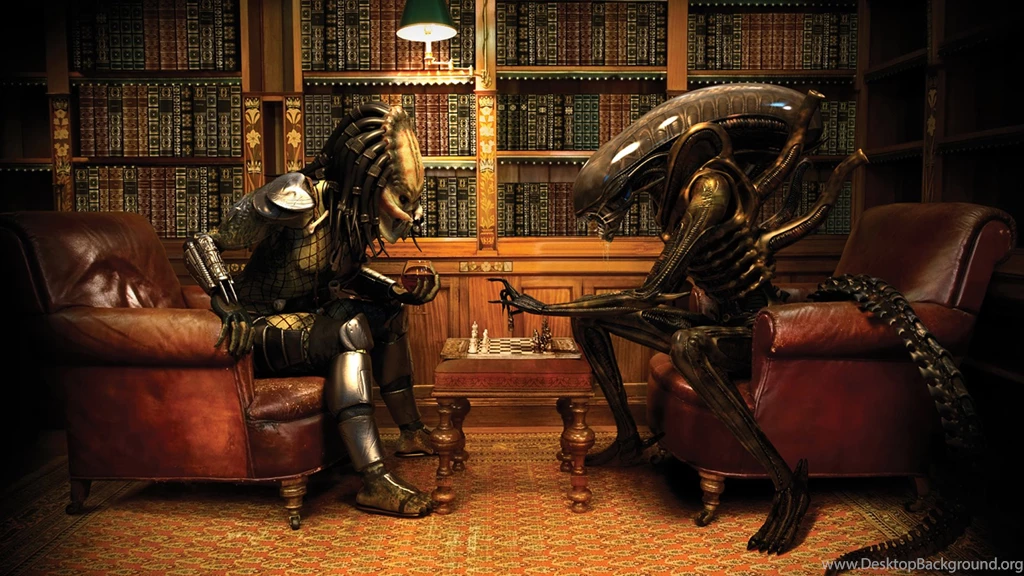 Funny HD Wallpapers 1600x1200 (2) Hebus.org High Definition ...