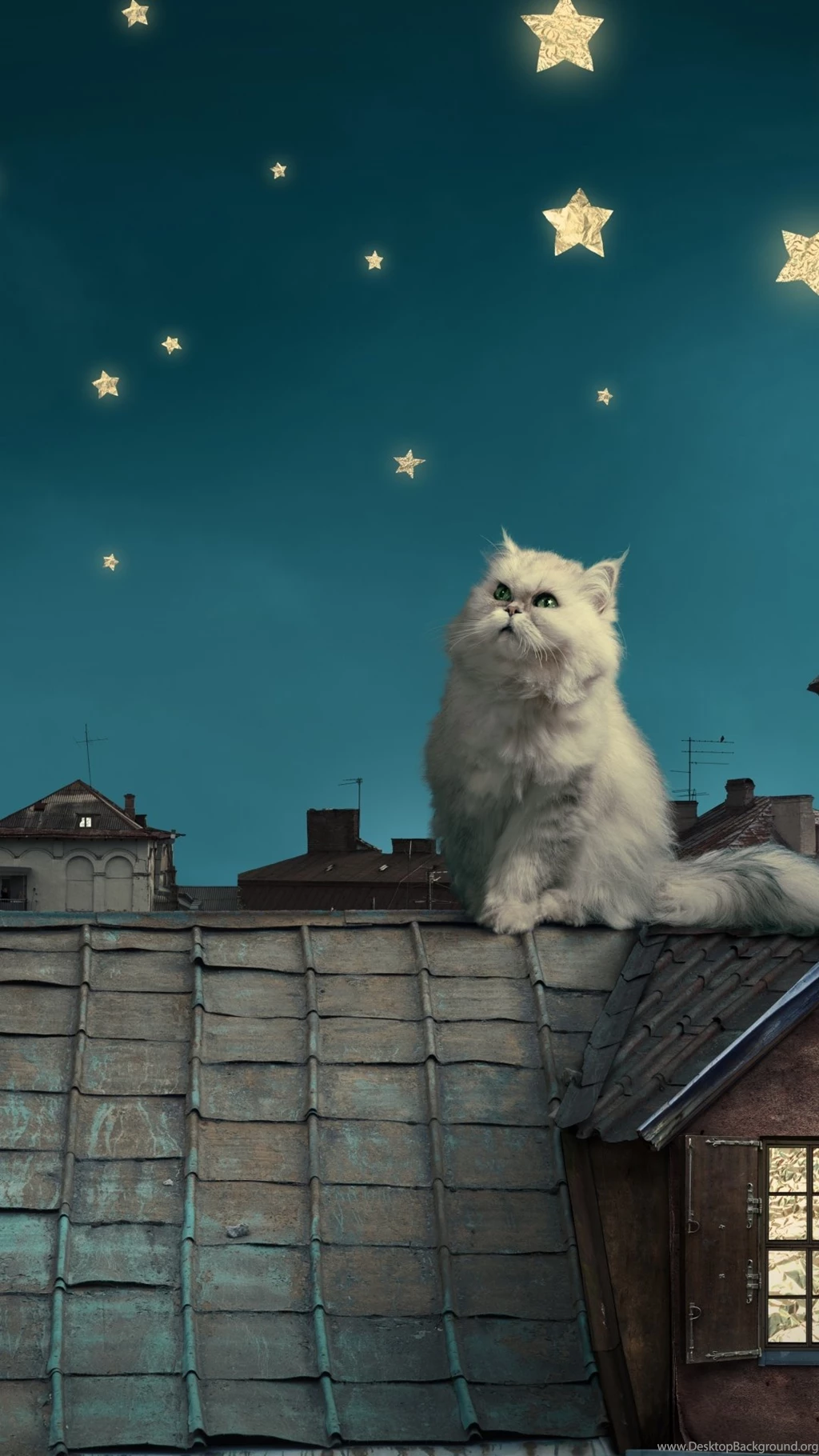 Download Wallpapers 1080x1920 White Persian Cat, Kitten, Fairy Tale ...