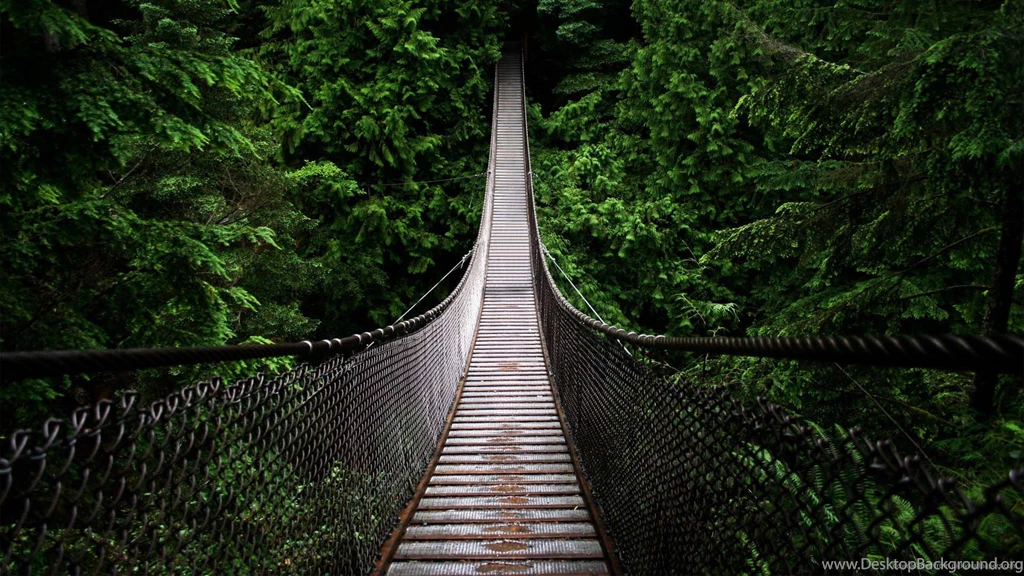 Wallpaper Backgrounds 967