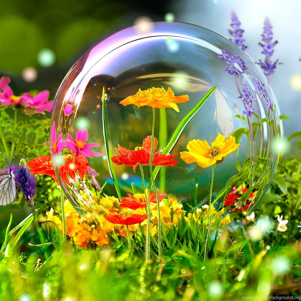 Live Wallpapers Hd