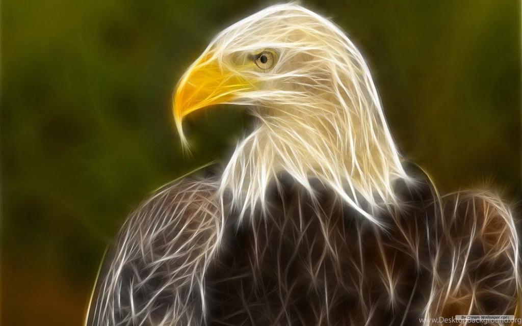 3d Animal Wallpapers Downloads