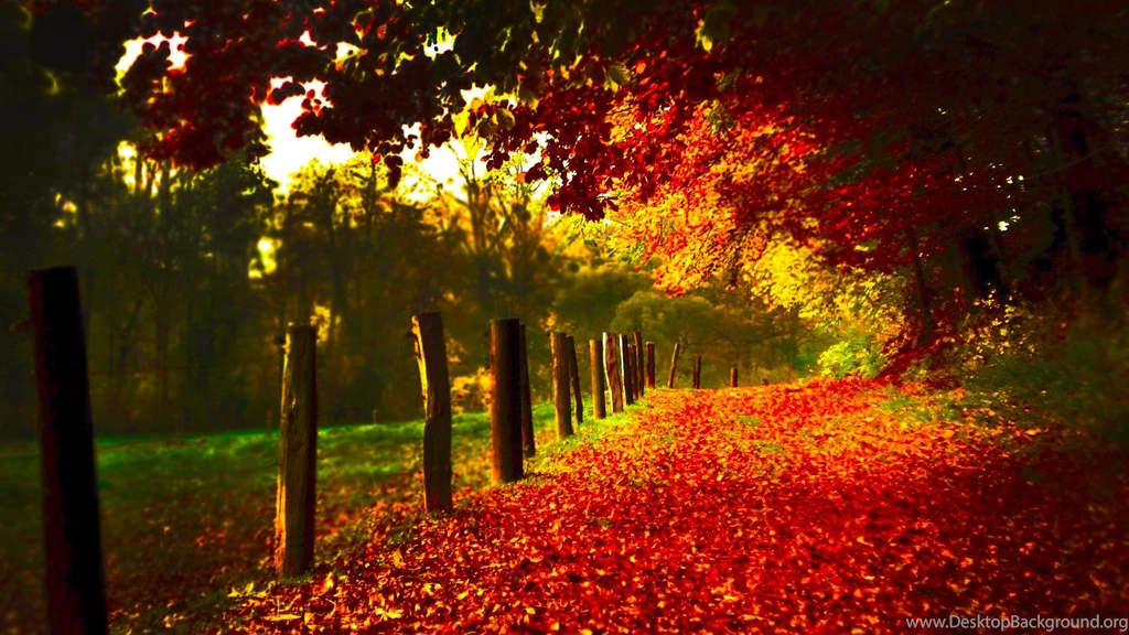 High Resolution Autumn Fall Leaves Wallpapers HD 20 Full Size ...