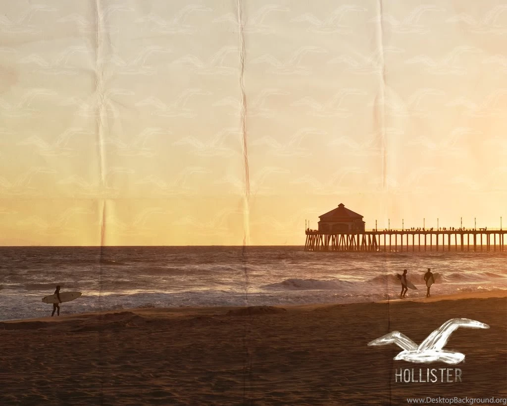 Hollister Logo   Cool Graphic