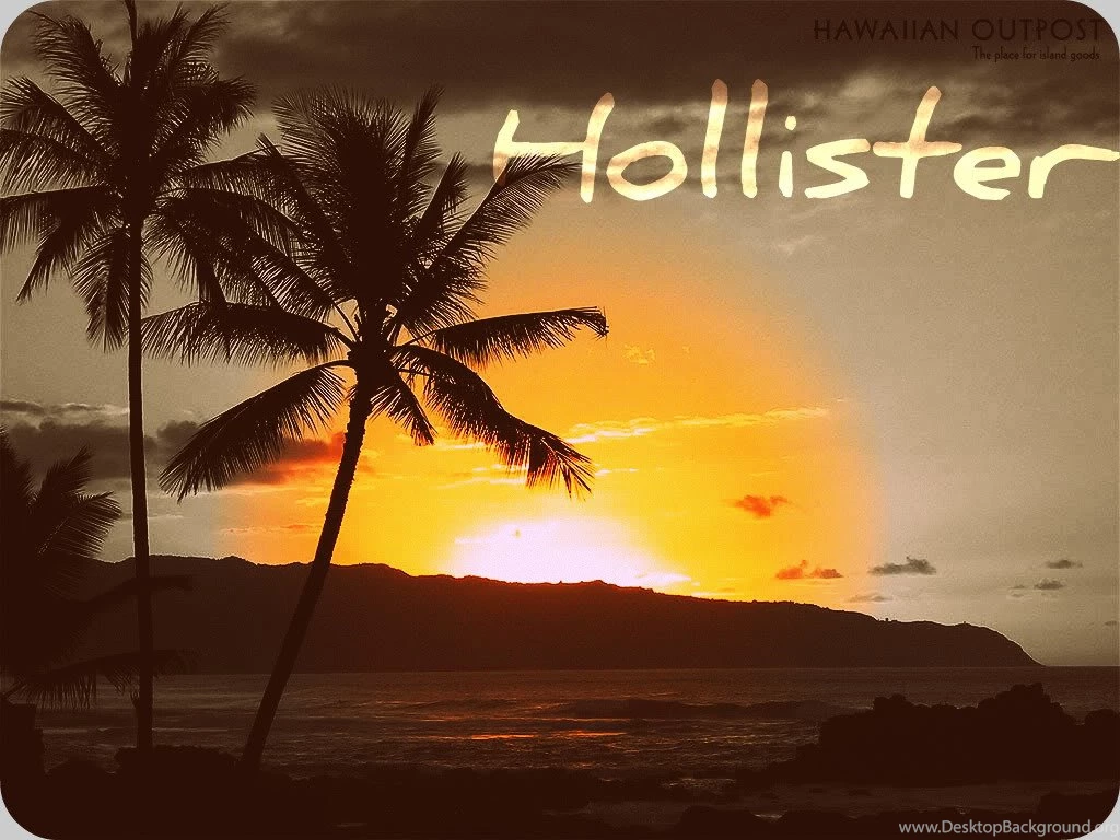 Hollister Beach Model Images