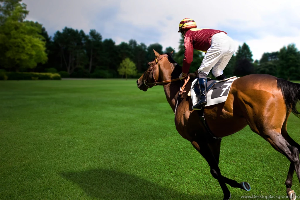 Horse Racing Glorious Wallpapers