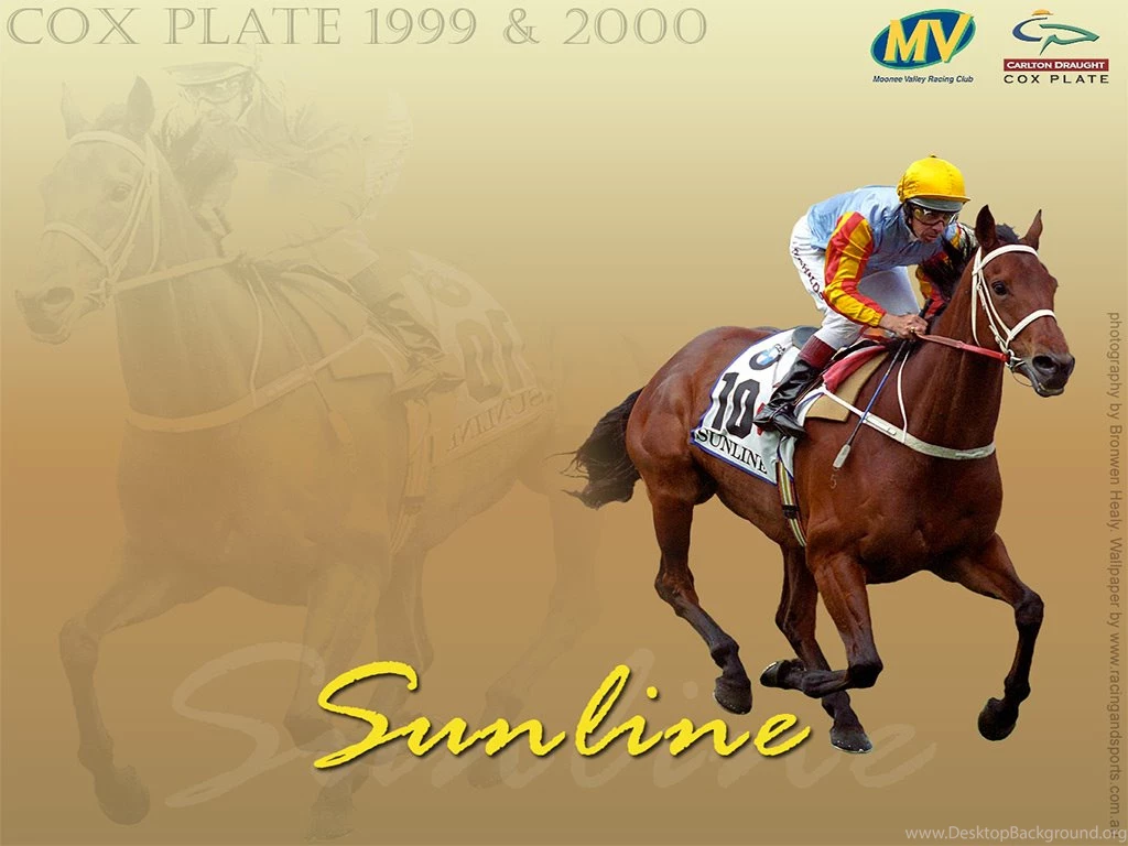 Racing And Sports   Leaders In Horse Racing News, Statistics And ...