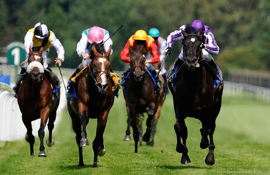 26+ Best HD Horse Racing Wallpapers