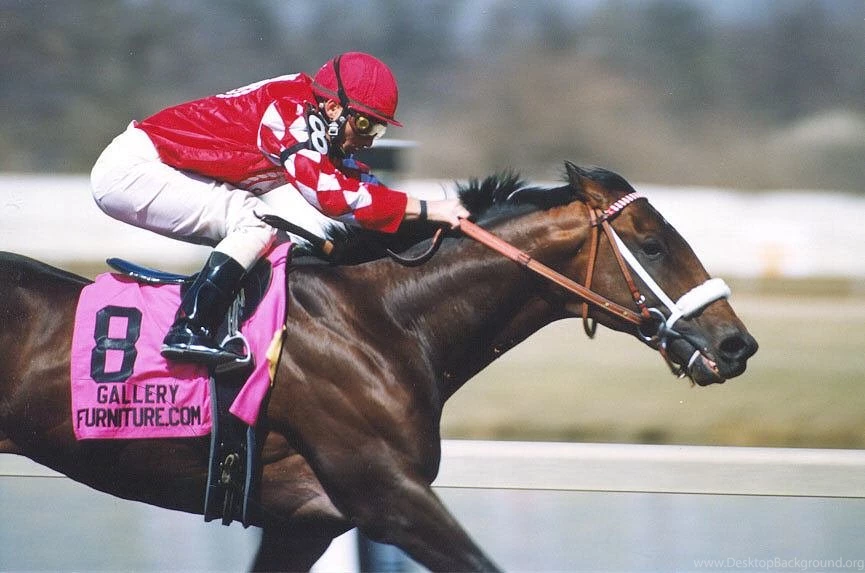 Horse Racing Livehorse Racing Hd Horses Wallpapers Blog Archive ...