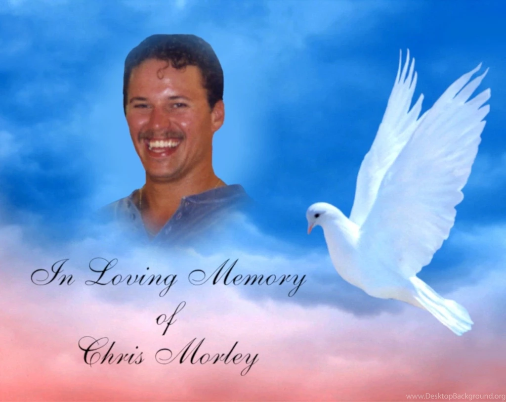 Personalized Custom In Loving Memory Dove And 50 Similar Items