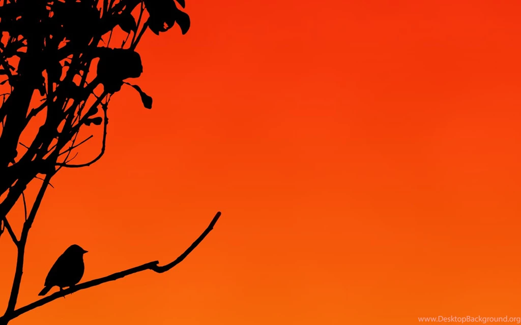 Silhouetted Sparrow Wallpapers By Kem2000 On DeviantArt