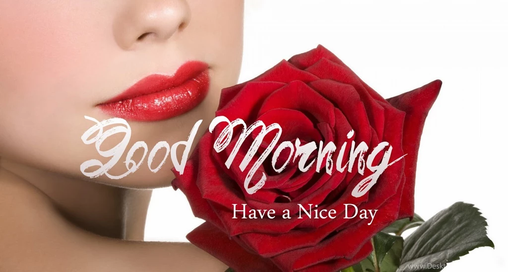 Good Morning Friends Wallpapers Archives   Free Desktop Wallpapers ...