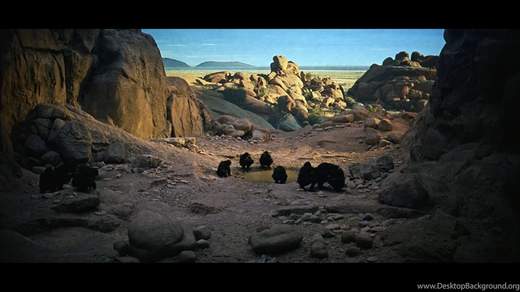 Movies Screenshots 2001 A Space Odyssey Stanley Kubrick