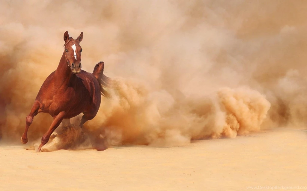 Running Wallpapers >> Backgrounds With Quality HD