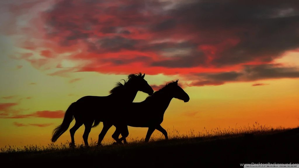 Download Wild Horses Running Wallpapers 1920x1080
