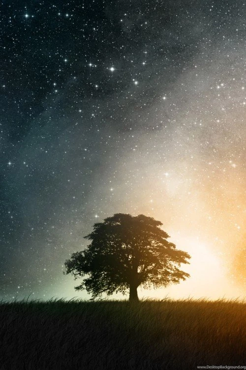 Iphone 4 Wallpapers Hd 10 500x750 iPhone Wallpapers Gallery ...