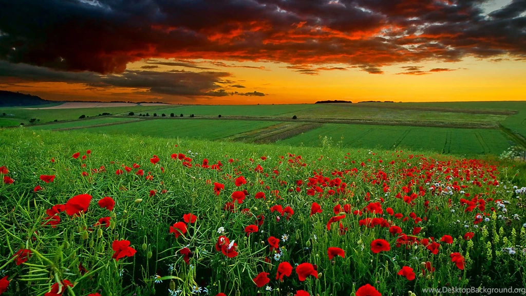 Beautiful Landscape HD Wallpapers   HD Wallpapers POP