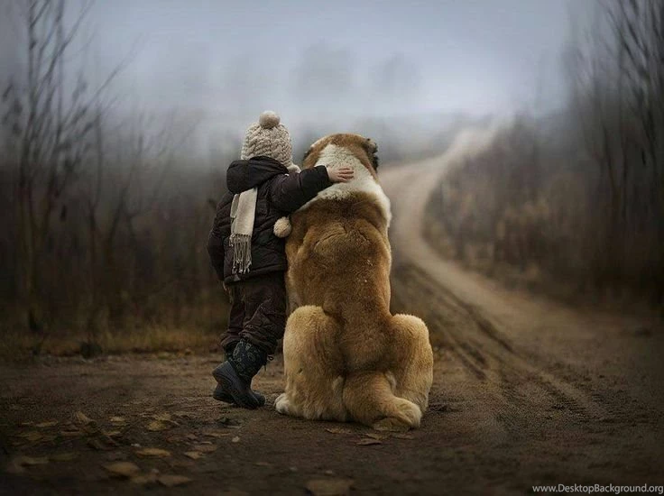 Cute Girl With Dogs Wallpaper. Download Best Cute Girl With Dogs ...